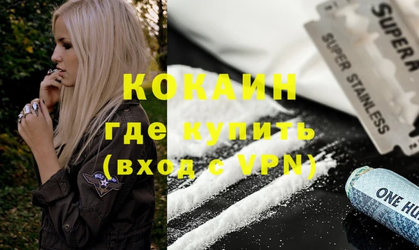 ECSTASY Богданович